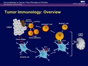 Tumor Immunology